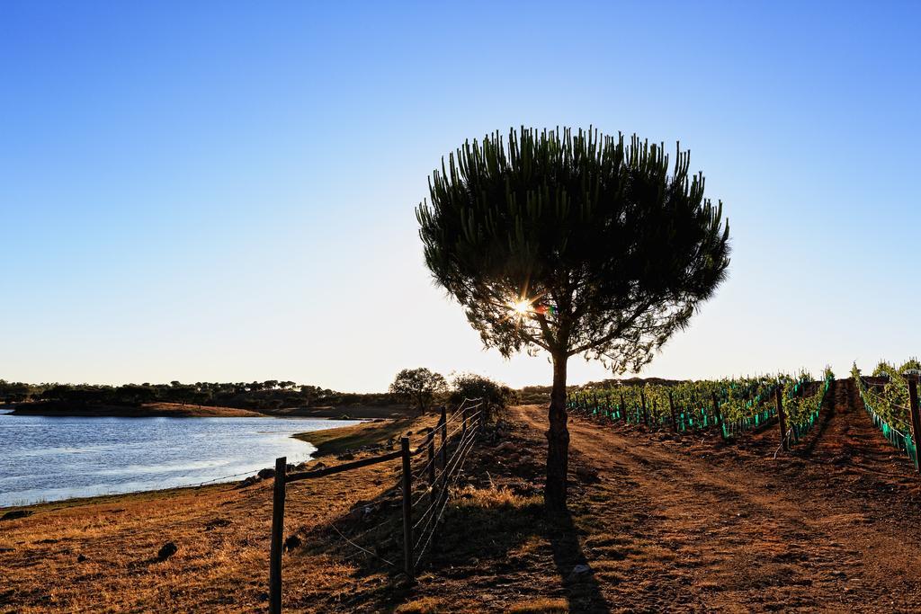 Herdade Da Calada Azaruja Exterior photo