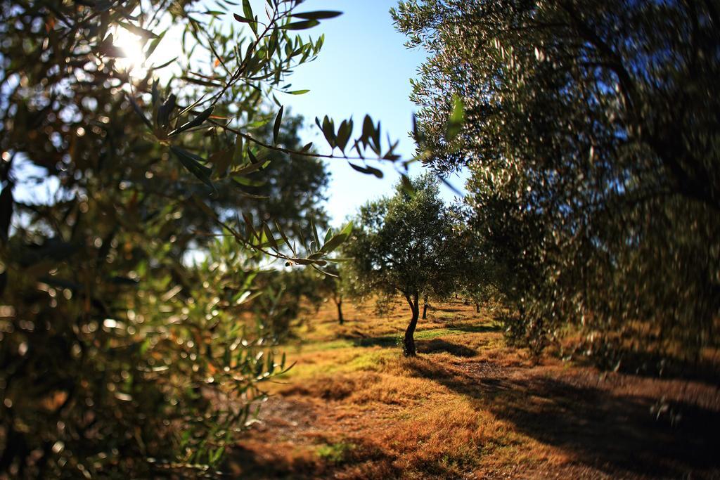Herdade Da Calada Azaruja Exterior photo