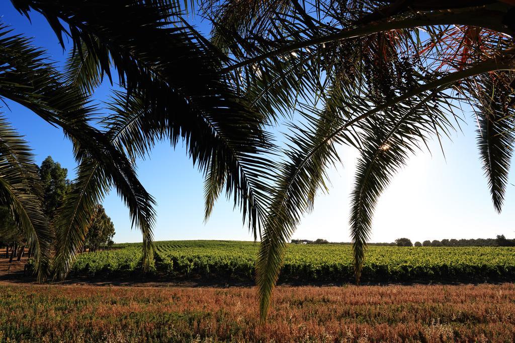 Herdade Da Calada Azaruja Exterior photo
