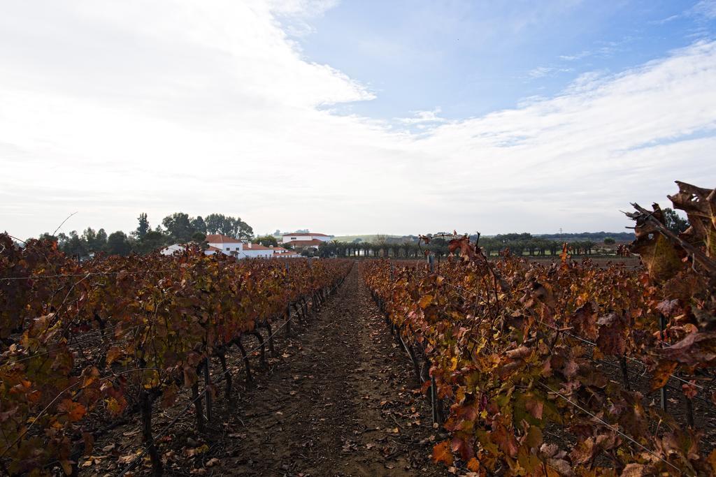 Herdade Da Calada Azaruja Exterior photo